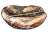 Colorful Polished Petrified Wood Bowl - Madagascar #346822-1